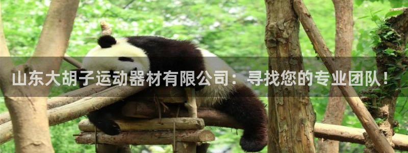 征途国际平台注册流程图:山东大胡子运动器材有限公司:寻找您的