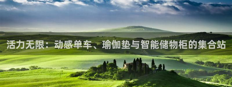 征途国际集团官网首页网址:活力无限:动感单车、瑜伽垫与智能储