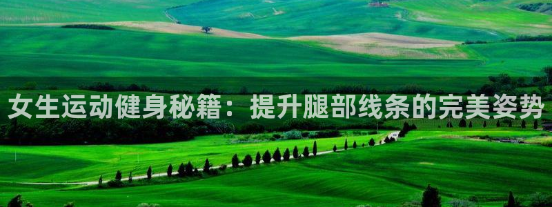 征途国际招商:女生运动健身秘籍:提升腿部线条的完美姿势